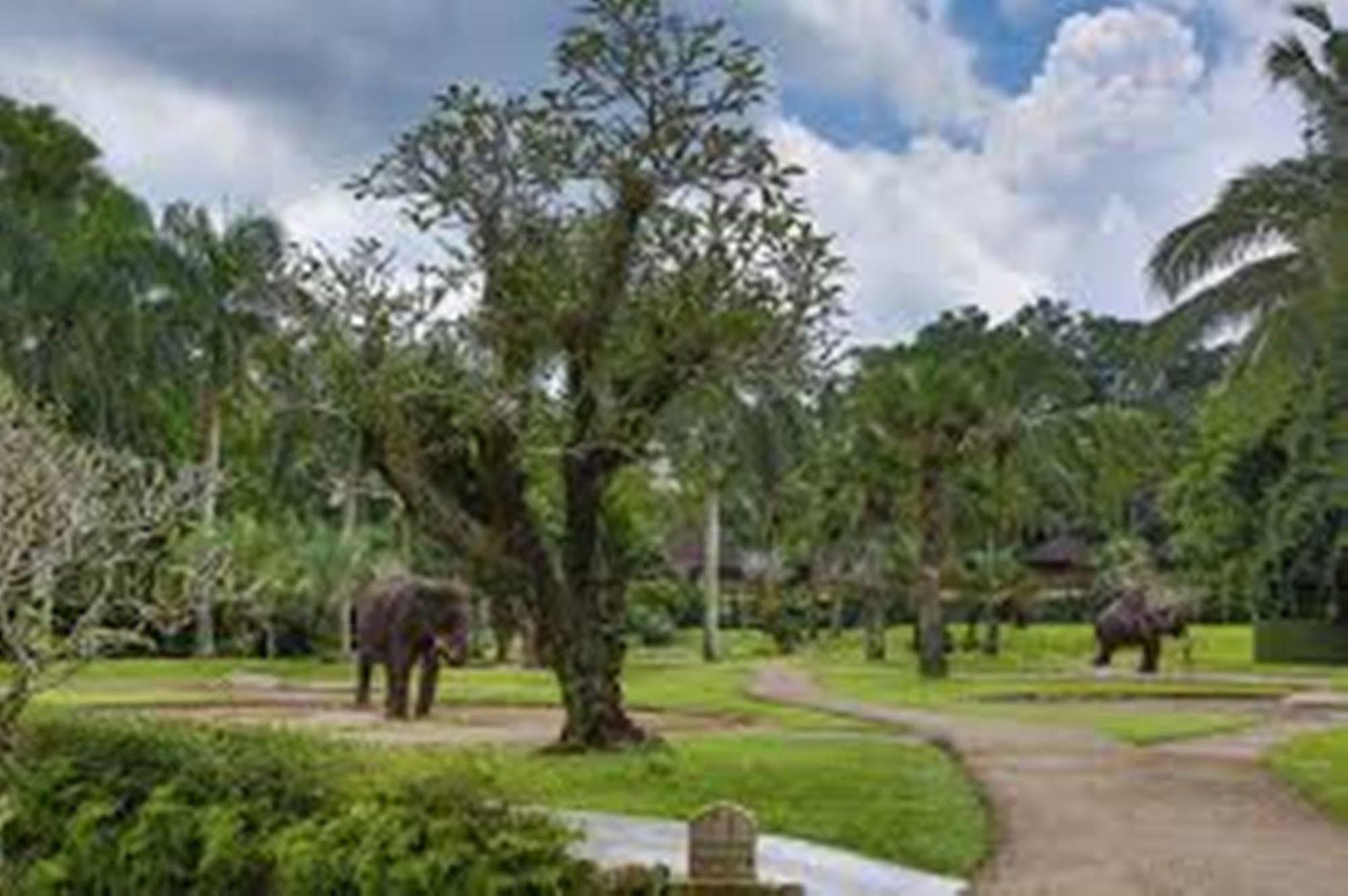 Mason Elephant Lodge Ubud Buitenkant foto